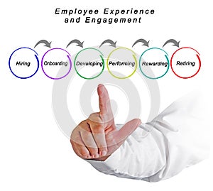 Employee Experience and Engagement