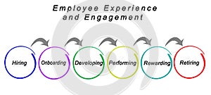 Employee Experience and Engagement