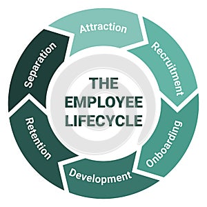 The employee lifecycle management scheme. Methodology circle diagram