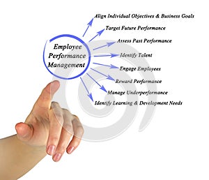 Employee Performance Management