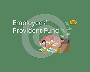 Employee provident fund and contribution for retirement investment