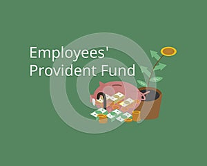 Employee provident fund and contribution for retirement investment photo