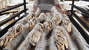 Employee puts buns with poppy seeds on metal rack close view