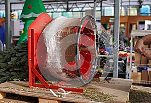 Employees hands making netting knot before wrapping tree