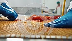 Employees of seafood factory with gloved hands sort red salmon caviar on a net.