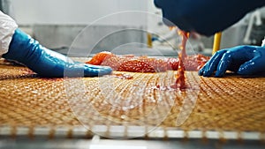 Employees of seafood factory with gloved hands sort red salmon caviar on a net.