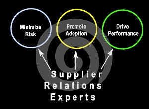 Employing of Supplier Relations Experts