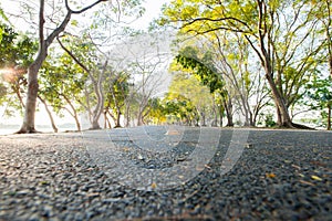 Empthy running lanes of road in park