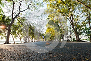 Empthy running lanes of road in park