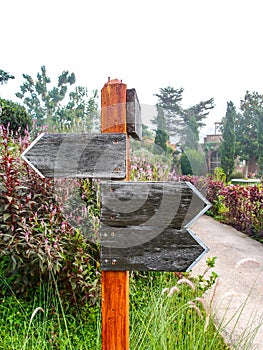 Emptied wooden direction sign