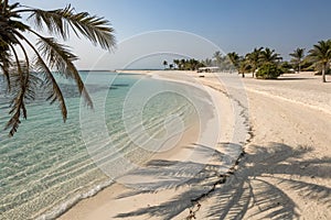 Empty abstract sand beach with palm leaf shadow