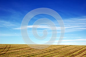 Empty agricultural field under blue sky