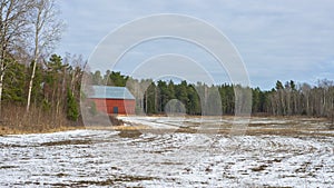 Empty agriculture fields in winter covered with first snow. Winter crops. Red wooden farm house or barn background. Silhouettes of