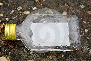 Empty alcohol bottle in the street