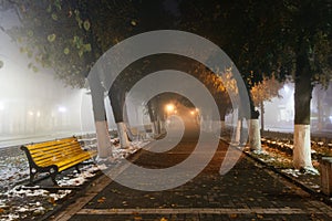 Empty alley at foggy street at night city