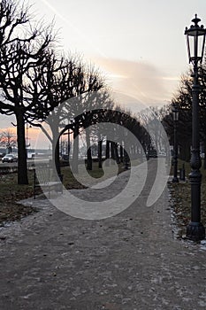 Empty alley of St. Petersburg. Bench, trees, lamp post. Sky with sunset