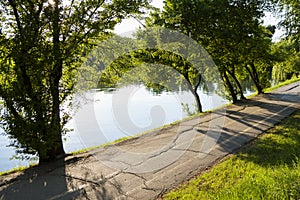 Empty alley in Tineretului Park