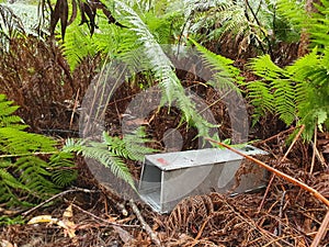 Empty aluminum Elliott trap used for catching small mammals Myall Lake National Park Australia