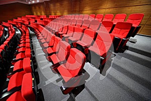 Empty arm-chairs stand rows in hall