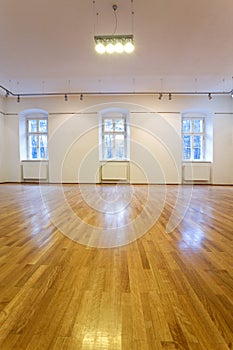 Empty art gallery with blank walls