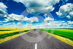 Empty Asphalt Countryside Road Through Fields With