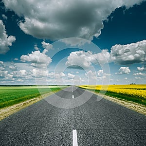 Empty Asphalt Countryside Road Through Fields With Yellow Flowering Canola Rapecolza Canola And Growing Green Wheat