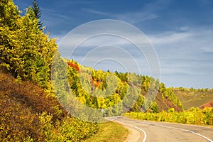 Empty asphalt mountain road with near the forest with day light.