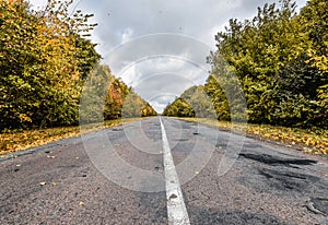 Empty asphalt road through the autumn woods. Autumn scene with road in forest. Beautiful scenic empty road in the fall and woods.