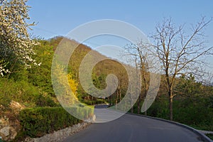 Empty asphalt road with blue sky at the spring