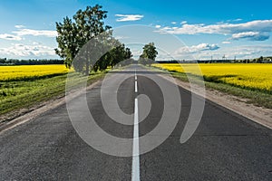 Empty asphalt road and floral field of yellow flowers