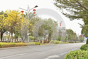 Empty asphalt road at noon