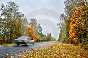 Empty asphalt road through theflower hautumn woods and blurry car. Autumn scene with road in forest