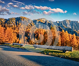 Empty asphalt road on Tre Croci Cortina Pass. Sunny morning view of Dolomite Alps.
