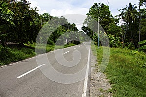 Highway on tropical island. Empty road by jungle