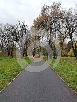 Empty Autumn Park.
