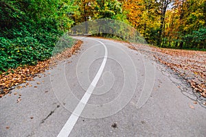 Empty autumn road