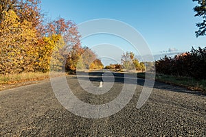 Empty autumn road along golden winter wheat fields at sunset