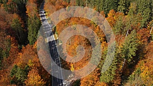 Empty autumn road with the bright trees in the green, orange and red tones