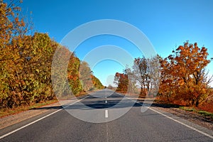 Empty autumn road, highway, with beautiful trees on the sides, against the background of a clear, blue sky