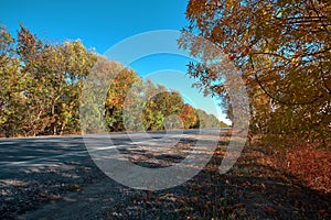 Empty autumn road, highway, with beautiful trees on the sides, against the background of a clear, blue sky