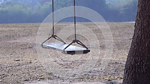 Empty baby swing on the tree