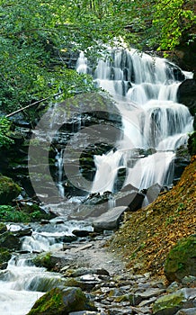 Empty background with green summer forest and waterfall