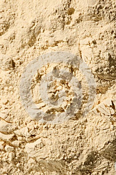 whey protein powder background