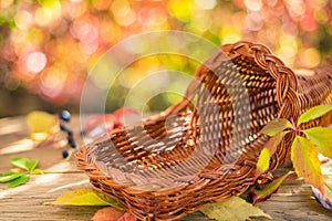 Empty basket for fruits and vegetables on an autumn sunny background with beautiful bokeh
