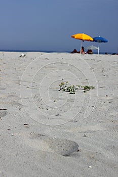 Empty beach