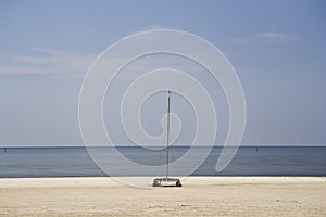 Empty Beach & Cat, Gulf Coast