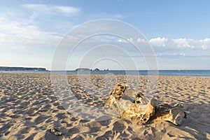 Empty beach in Costa Brava