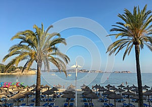 An empty beach with deck chairs