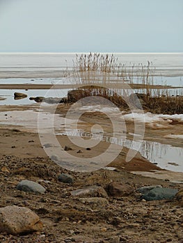 Empty beach in the early spring. Estonia