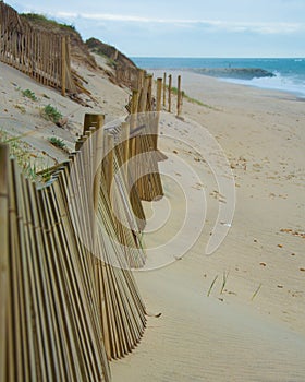 Empty beach esposende photo